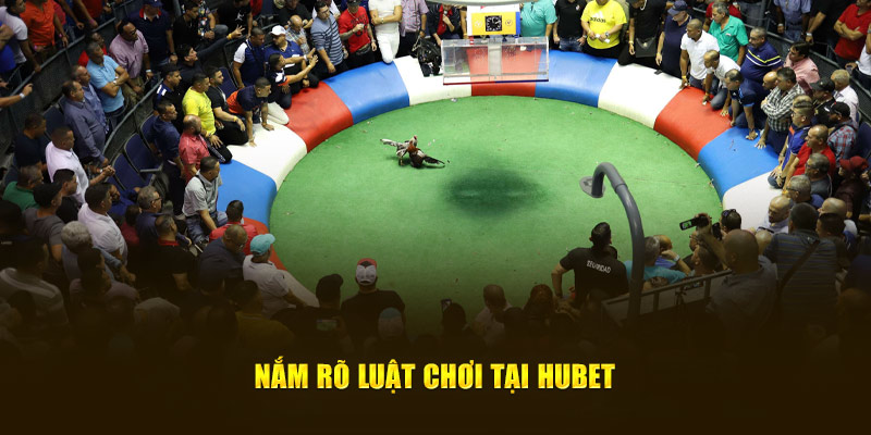 Nắm rõ luật chơi tại Hubet