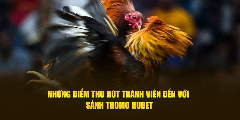 Những điểm thu hút thành viên đến với sảnh Thomo HUBET